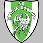 Scudetto Chiaja Roboris